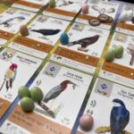 Wingspan: Do tabuleiro ao PC, consoles e mobile!