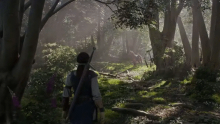 Fable mantém janela de lançamento e estúdio reage a especulações sobre adiamento